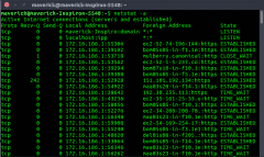 الامر netstat